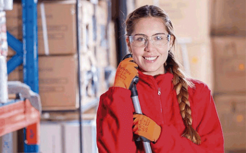 DDS Motivação no Trabalho DDS Motivação no Trabalho