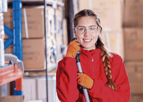 DDS Motivação no Trabalho DDS Motivação no Trabalho