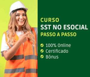 O que é Artigo, Alínea, Inciso, Item, Caput e Parágrafo?